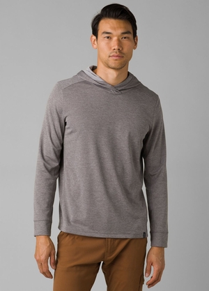 Sweat à Capuche PrAna Sol Defender Grise Homme | UMI-42574639