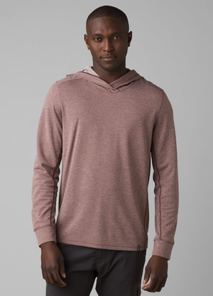 Sweat à Capuche PrAna Sol Defender Rose Homme | KYP-69619558